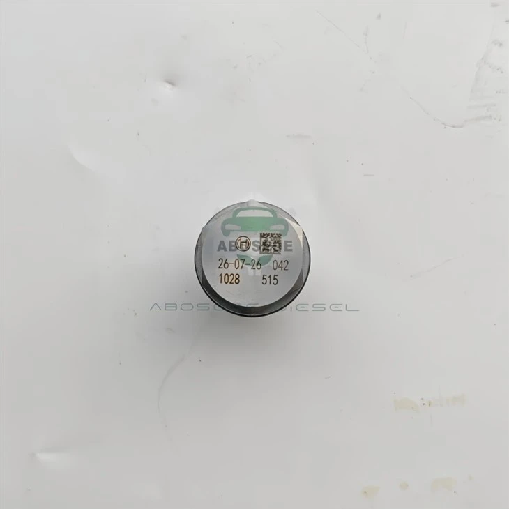 Bosch Common Rail Pressure Limiting Valve 1110010028 – Precision Meets Protection suppliers
